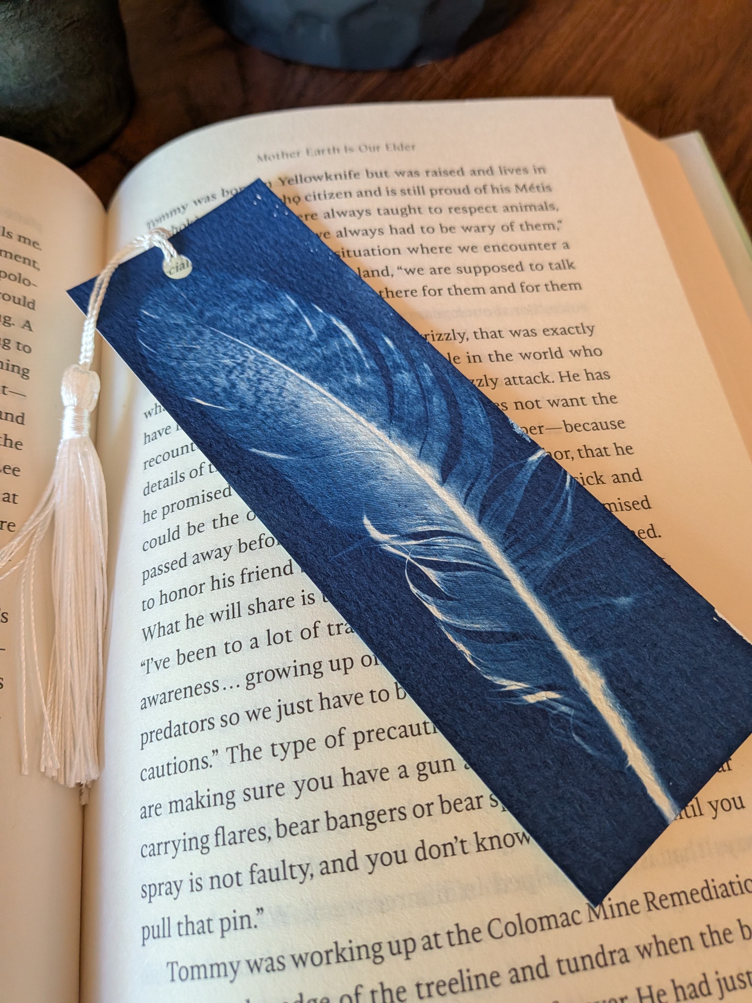 FeatherBookmark