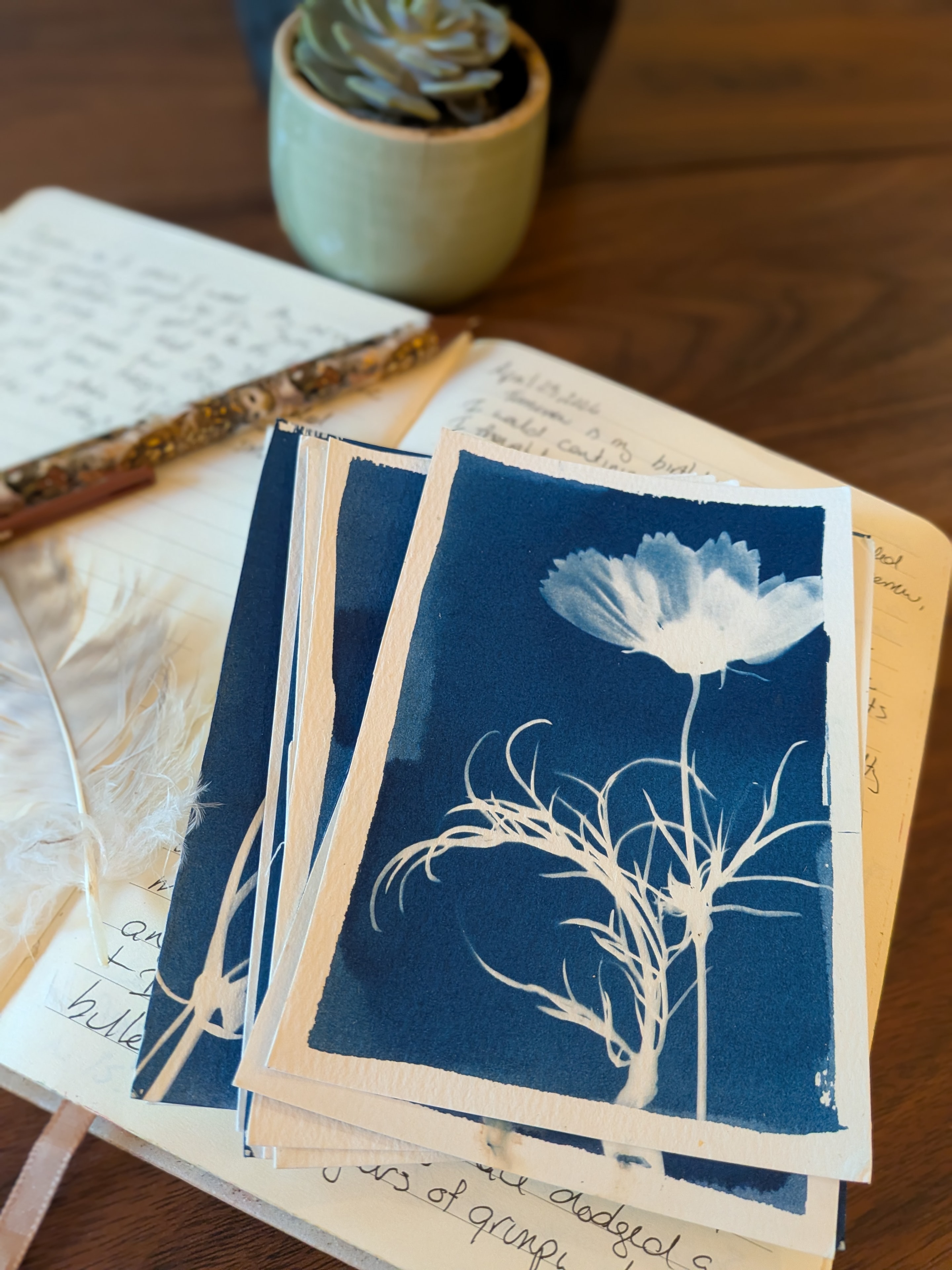 Wildflower Notecard Set