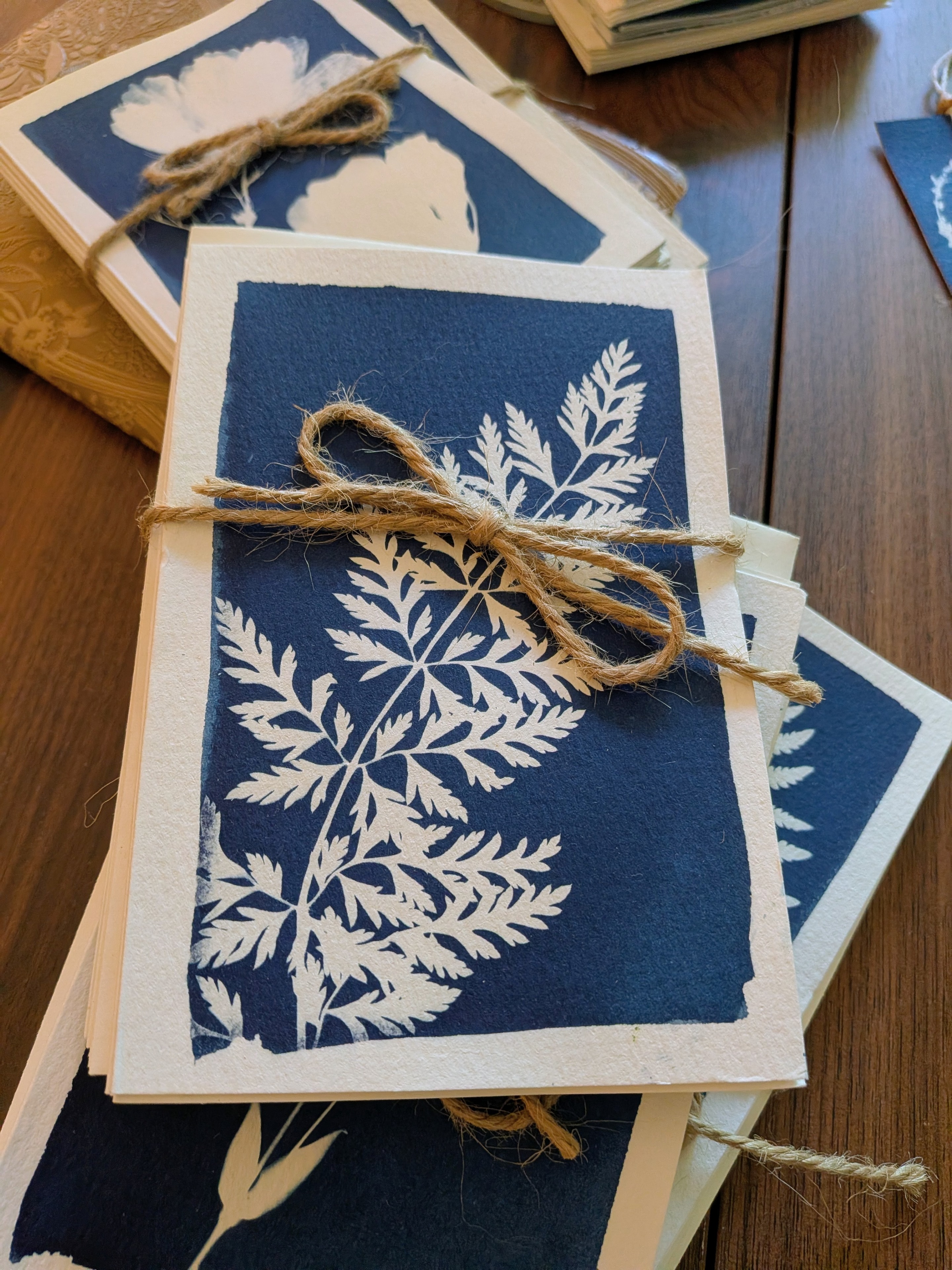 Fern Notecards, set of 5