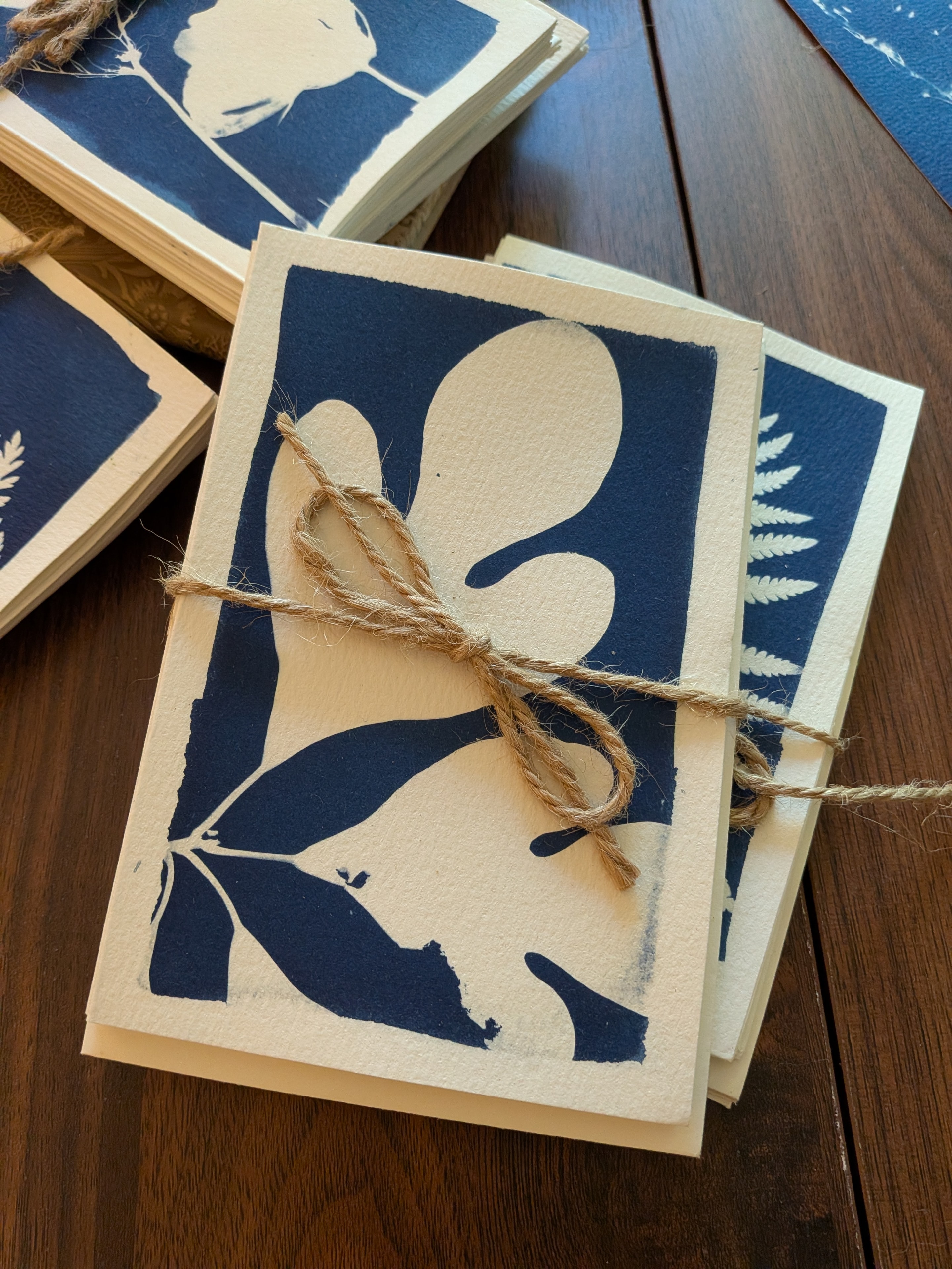 Sassafras Notecards, set of 5